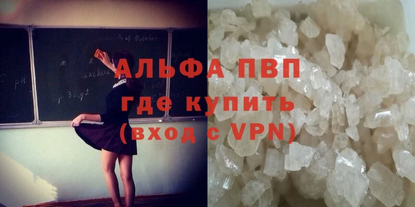 спиды Богданович