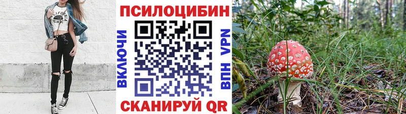 мориарти официальный сайт  Дятьково  Галлюциногенные грибы Magic Shrooms 